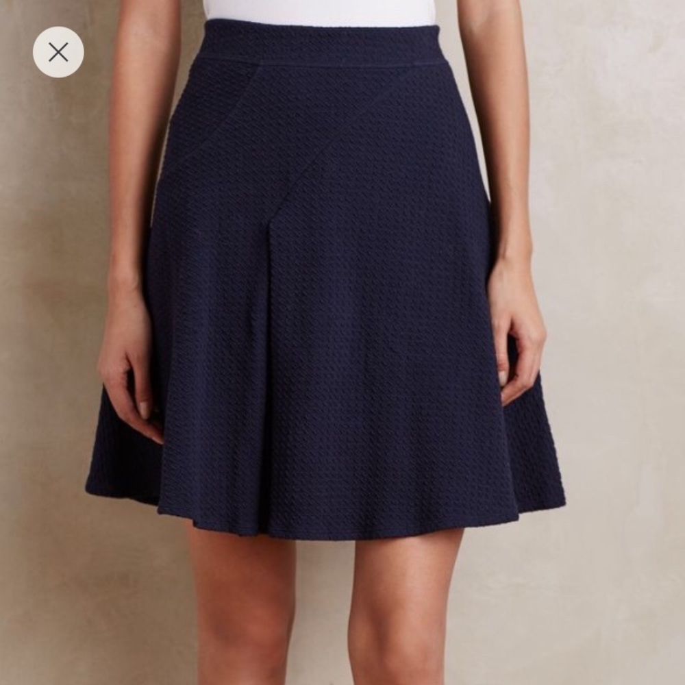 Navy Paneled Pleats Skirt